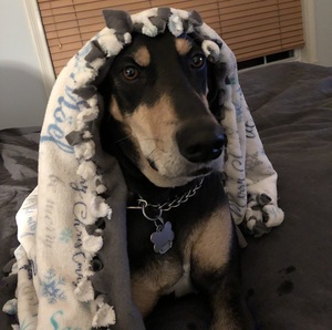 Teresa (Terry) Harper